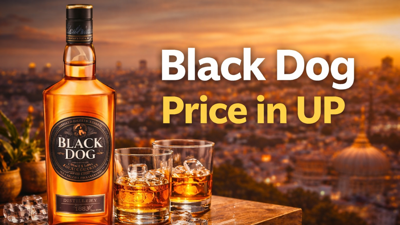 Black Dog Price in UP